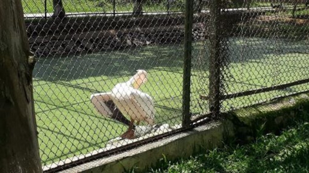 Explore Manipur Zoological Garden-1